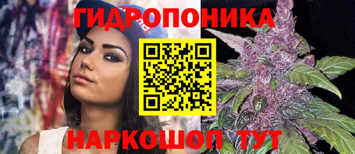 Канабис сатива  Канабис сатива  Каннабис Ganja  Вход с VPN  МАРИХУАНА THC 21%  Майкоп 